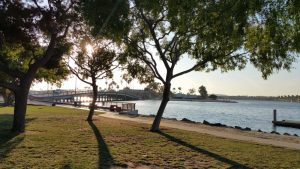 Ability First Day At The Beach 2018 @ Mothers Beach